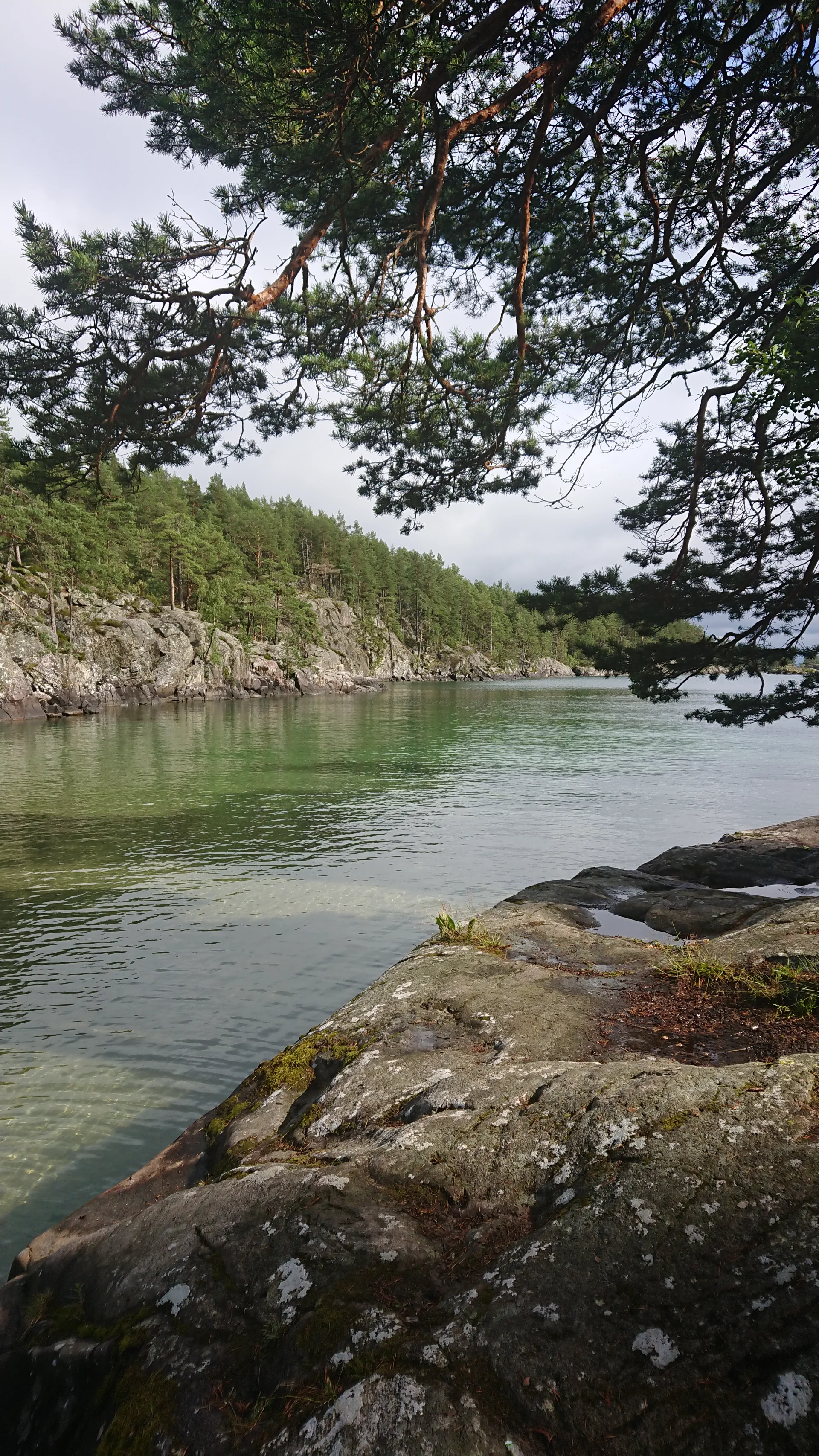 Sunny swimming spot at Djäknesundet in Karlsborg with crystal clear water, rocks and lush greenery by the shore of Lake Vätte