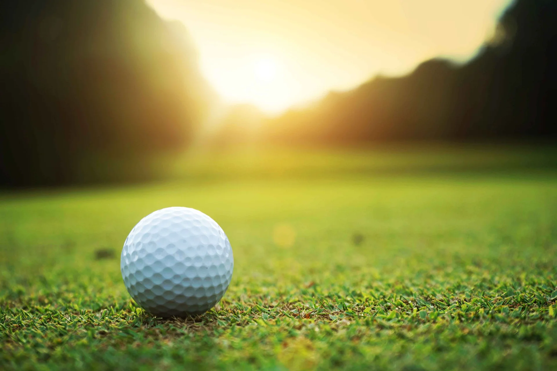 Grönskande golfbana vid Billingens Golfklubb nära Skara med välklippta fairways och omgivande natur.