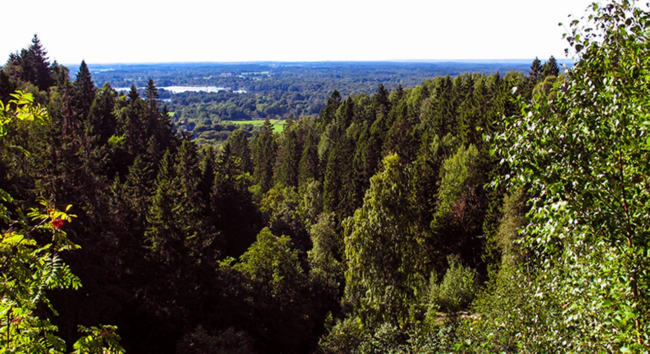 Vy över Jättadalen i Skara kommun med dramatiska klippor, skog och vidsträckt utsikt över landskapet.