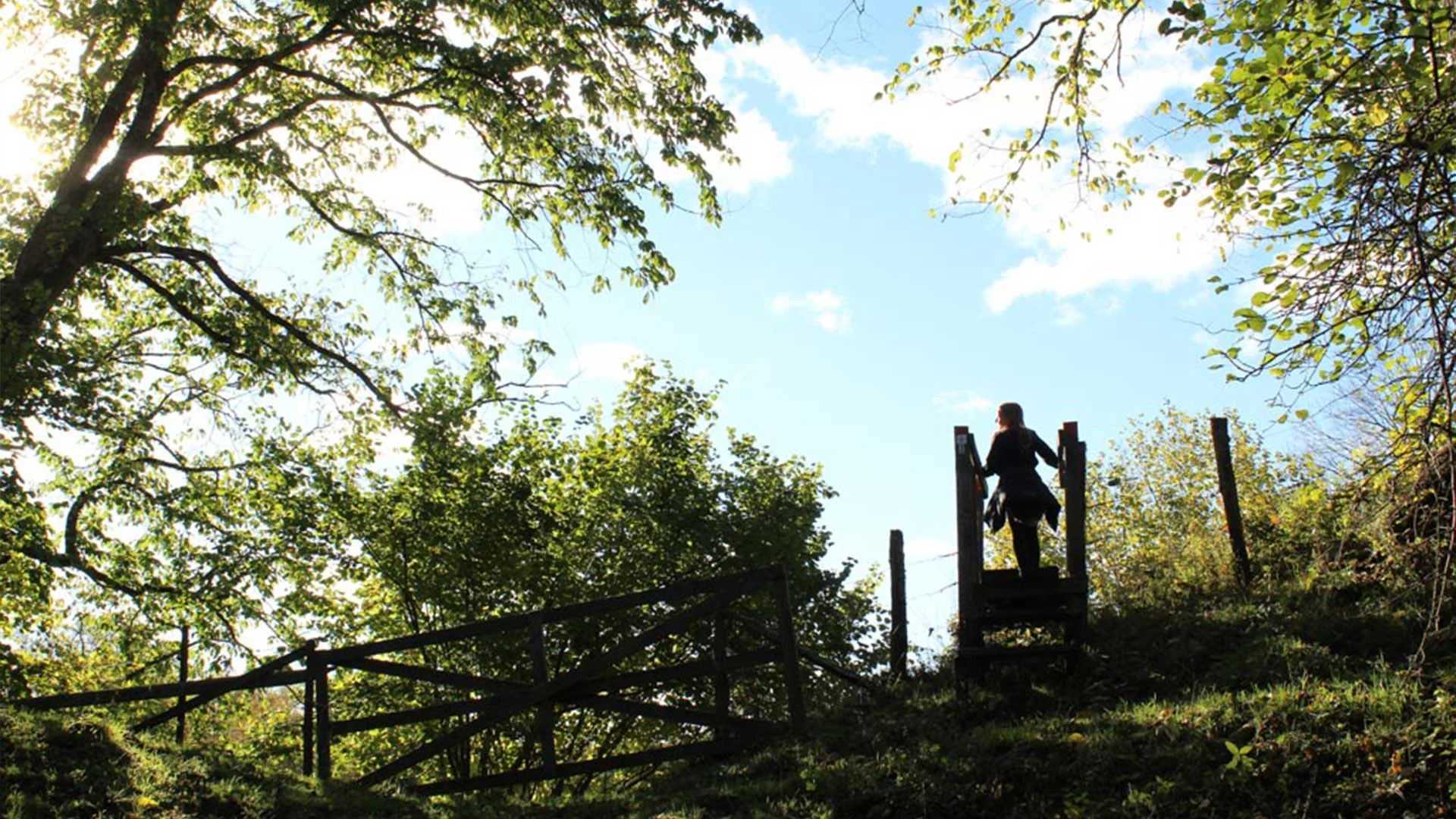 Vandrare på en naturskön stig i de blomstrande kamelandskapsdalarna i Vallebygden utanför Skara.