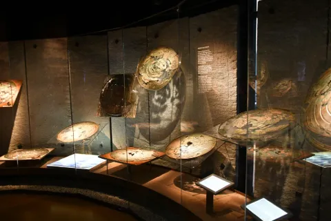 Exteriör av Västergötlands museum i Skara under en solig sommardag.