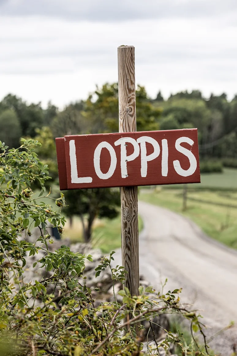 Bakluckeloppis vid Djäknescenen i Skara