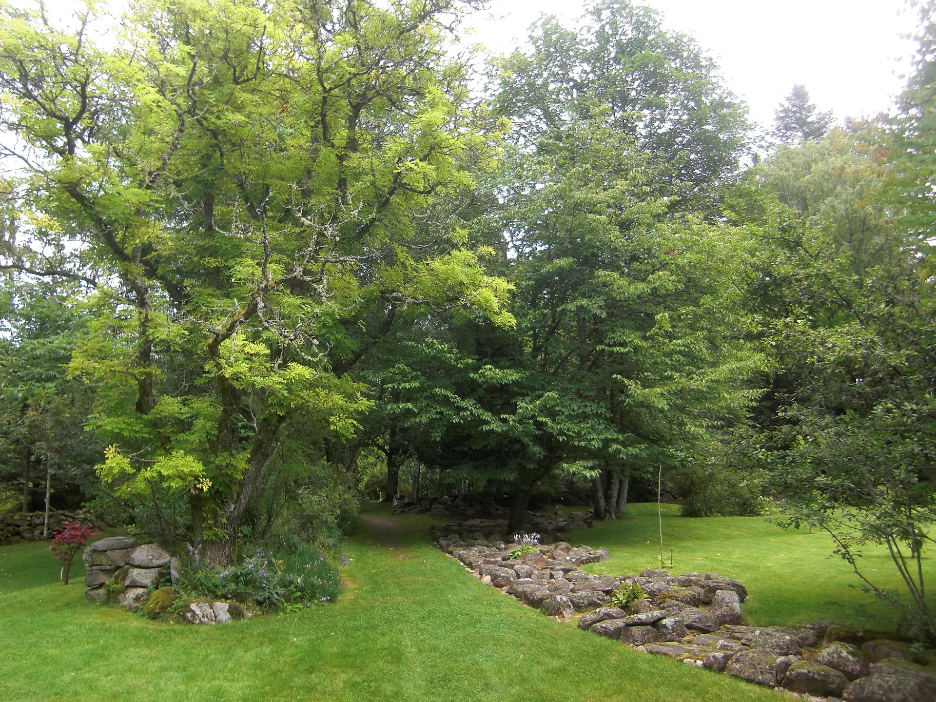 Torsdagkvällar på Alphems arboretum